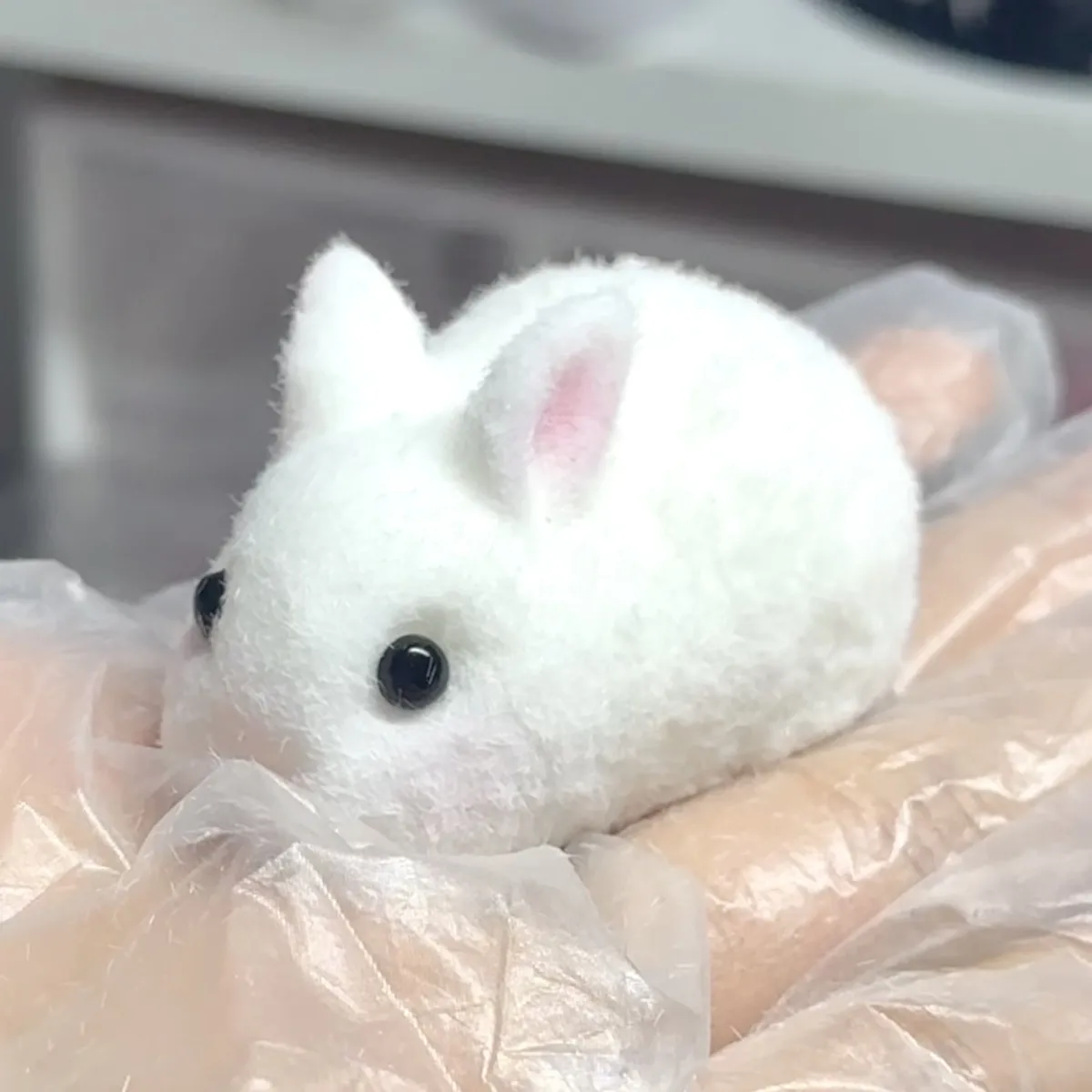 Squishy